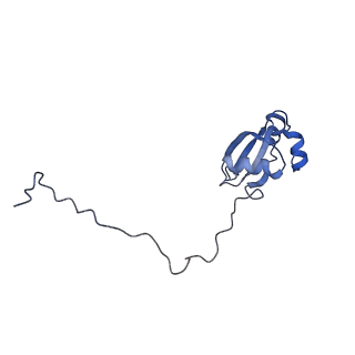 2644_3j7r_X_v1-4
Structure of the translating mammalian ribosome-Sec61 complex