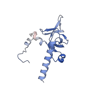 2644_3j7r_Y_v1-4
Structure of the translating mammalian ribosome-Sec61 complex