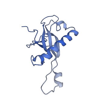2644_3j7r_Z_v2-0
Structure of the translating mammalian ribosome-Sec61 complex