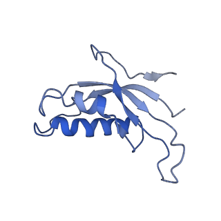 2644_3j7r_d_v1-4
Structure of the translating mammalian ribosome-Sec61 complex