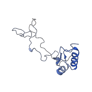 2644_3j7r_e_v1-4
Structure of the translating mammalian ribosome-Sec61 complex