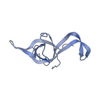2644_3j7r_f_v1-4
Structure of the translating mammalian ribosome-Sec61 complex