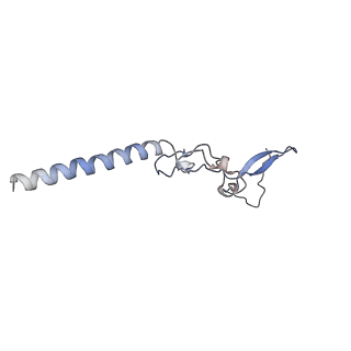 2644_3j7r_g_v1-4
Structure of the translating mammalian ribosome-Sec61 complex