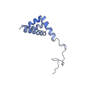 2644_3j7r_i_v1-4
Structure of the translating mammalian ribosome-Sec61 complex