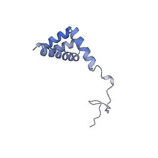 2644_3j7r_i_v2-0
Structure of the translating mammalian ribosome-Sec61 complex