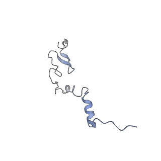 2644_3j7r_j_v1-4
Structure of the translating mammalian ribosome-Sec61 complex