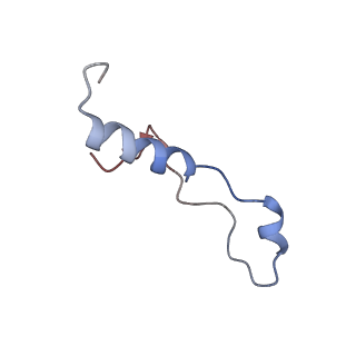 2644_3j7r_l_v1-4
Structure of the translating mammalian ribosome-Sec61 complex