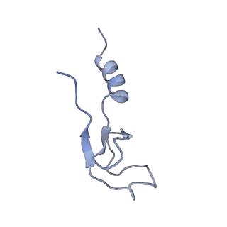 2644_3j7r_m_v1-4
Structure of the translating mammalian ribosome-Sec61 complex