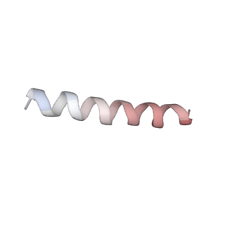 2644_3j7r_n_v1-4
Structure of the translating mammalian ribosome-Sec61 complex
