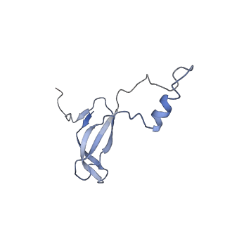 2644_3j7r_o_v1-4
Structure of the translating mammalian ribosome-Sec61 complex