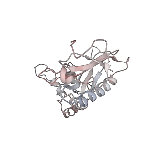 2644_3j7r_z_v1-4
Structure of the translating mammalian ribosome-Sec61 complex