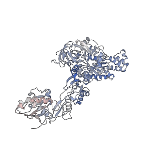 2646_3j7p_4_v1-4
Structure of the 80S mammalian ribosome bound to eEF2