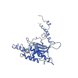 2646_3j7p_D_v1-4
Structure of the 80S mammalian ribosome bound to eEF2