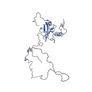 2646_3j7p_E_v1-4
Structure of the 80S mammalian ribosome bound to eEF2