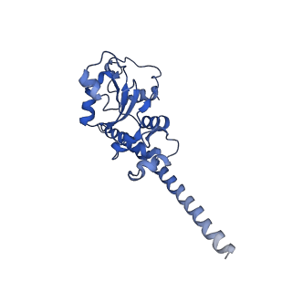 2646_3j7p_F_v1-4
Structure of the 80S mammalian ribosome bound to eEF2