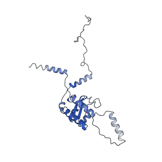2646_3j7p_G_v1-4
Structure of the 80S mammalian ribosome bound to eEF2