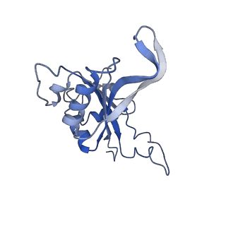 2646_3j7p_J_v1-4
Structure of the 80S mammalian ribosome bound to eEF2