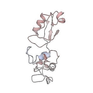 2646_3j7p_K_v1-4
Structure of the 80S mammalian ribosome bound to eEF2