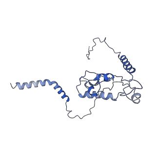 2646_3j7p_L_v1-4
Structure of the 80S mammalian ribosome bound to eEF2