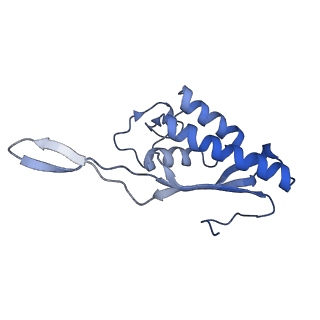 2646_3j7p_P_v1-4
Structure of the 80S mammalian ribosome bound to eEF2