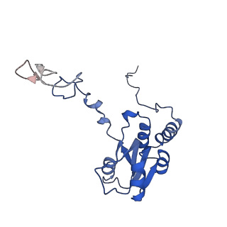 2646_3j7p_Q_v1-4
Structure of the 80S mammalian ribosome bound to eEF2