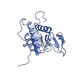 2646_3j7p_SA_v1-4
Structure of the 80S mammalian ribosome bound to eEF2