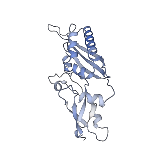 2646_3j7p_SB_v1-4
Structure of the 80S mammalian ribosome bound to eEF2