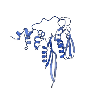 2646_3j7p_SC_v1-4
Structure of the 80S mammalian ribosome bound to eEF2