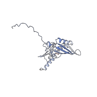 2646_3j7p_SD_v1-4
Structure of the 80S mammalian ribosome bound to eEF2