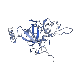 2646_3j7p_SE_v1-4
Structure of the 80S mammalian ribosome bound to eEF2