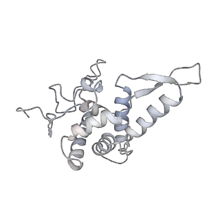 2646_3j7p_SF_v1-4
Structure of the 80S mammalian ribosome bound to eEF2