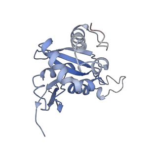 2646_3j7p_SH_v1-4
Structure of the 80S mammalian ribosome bound to eEF2