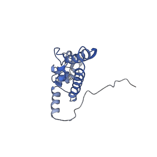 2646_3j7p_SJ_v1-4
Structure of the 80S mammalian ribosome bound to eEF2