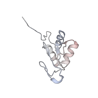 2646_3j7p_SK_v1-4
Structure of the 80S mammalian ribosome bound to eEF2