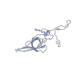 2646_3j7p_SL_v1-4
Structure of the 80S mammalian ribosome bound to eEF2