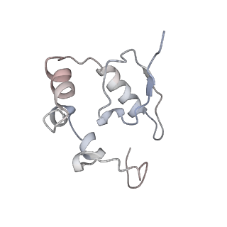 2646_3j7p_SP_v1-4
Structure of the 80S mammalian ribosome bound to eEF2