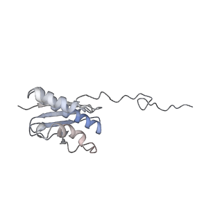 2646_3j7p_SQ_v1-4
Structure of the 80S mammalian ribosome bound to eEF2