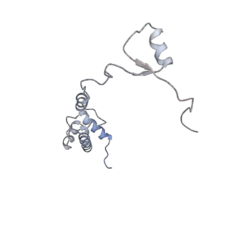 2646_3j7p_SR_v1-4
Structure of the 80S mammalian ribosome bound to eEF2
