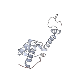 2646_3j7p_SS_v1-4
Structure of the 80S mammalian ribosome bound to eEF2