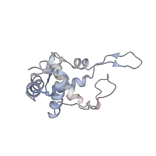 2646_3j7p_ST_v1-4
Structure of the 80S mammalian ribosome bound to eEF2