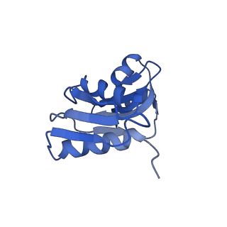 2646_3j7p_SW_v1-4
Structure of the 80S mammalian ribosome bound to eEF2