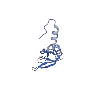 2646_3j7p_SX_v1-4
Structure of the 80S mammalian ribosome bound to eEF2