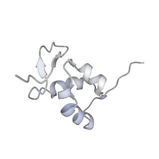 2646_3j7p_SZ_v1-4
Structure of the 80S mammalian ribosome bound to eEF2