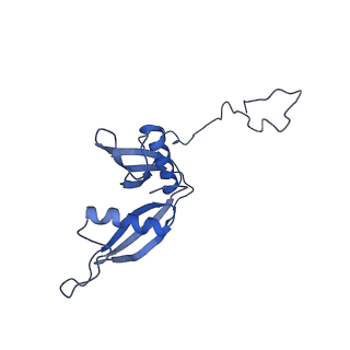 2646_3j7p_S_v1-4
Structure of the 80S mammalian ribosome bound to eEF2