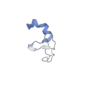 2646_3j7p_Sd_v1-4
Structure of the 80S mammalian ribosome bound to eEF2