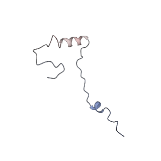 2646_3j7p_Se_v1-4
Structure of the 80S mammalian ribosome bound to eEF2