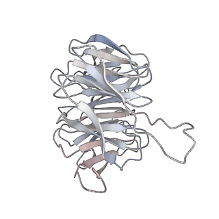 2646_3j7p_Sg_v1-4
Structure of the 80S mammalian ribosome bound to eEF2