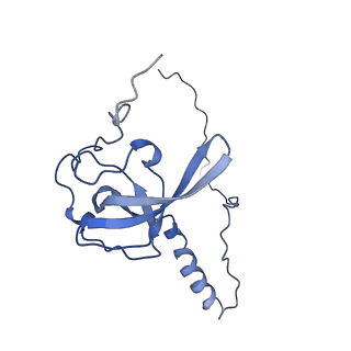 2646_3j7p_T_v1-4
Structure of the 80S mammalian ribosome bound to eEF2