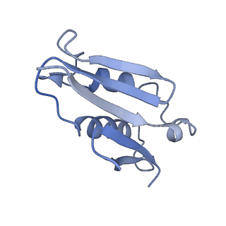 2646_3j7p_U_v1-4
Structure of the 80S mammalian ribosome bound to eEF2