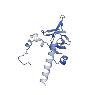 2646_3j7p_Y_v1-4
Structure of the 80S mammalian ribosome bound to eEF2